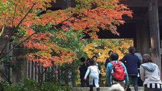 映画「ラスト・サムライ」ロケ地。