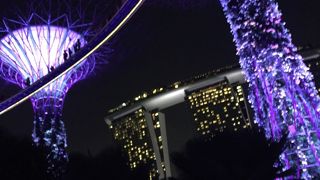 大変だけどショーのハシゴできます