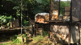 ちょっと疲れた時に立ち寄りオアシス