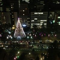 とてもきれいでした