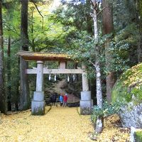 案内していただいた八社神社。周りは巨岩がいっぱいで神秘的。
