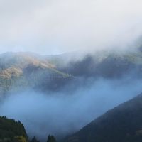民宿をとりまく雲海。さすがの四国カルスト。
