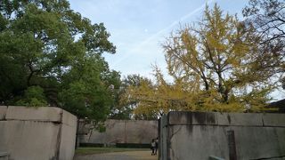 最寄駅は京橋駅ではなく天満橋駅です