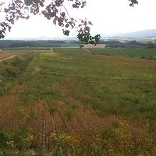 三愛の丘展望公園からの景色
