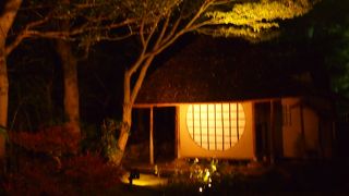 夜の高台寺ライトアップ！
