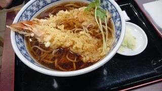 浅草雷門で、上品なお蕎麦を。