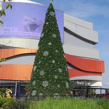 準備の始まったクリスマスツリー