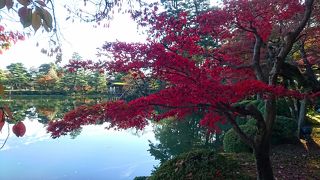秋の兼六園は紅葉がきれい！