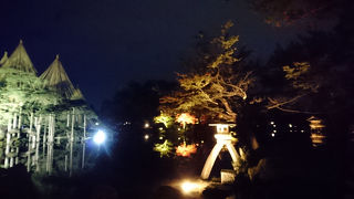 兼六園の中でも人気の撮影スポット。