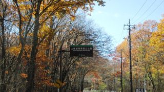 大自然を感じるドライブコース