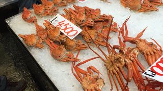 鬼太郎ロードだけでは物足りない人に！