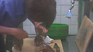 食べ歩きに最適