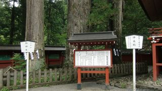 パワースポット