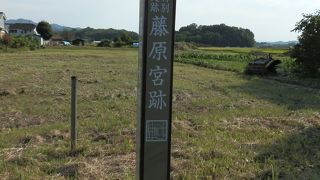 古代政治の中枢が伝わる、藤原宮跡