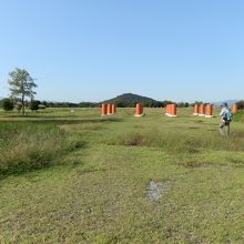 広々とした藤原宮跡（朝堂院南門礎石を据えた痕跡でしょうか）