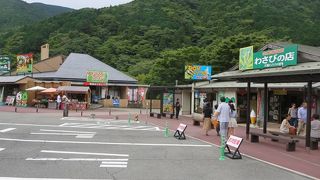 わさびソフトを売っています