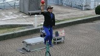 干物の試食、サーカスショー、ヨットハーバーを眺めながらの足湯などがある珍しい道の駅