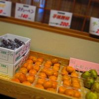 野菜や果物を売っている