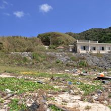 台風直後だったので