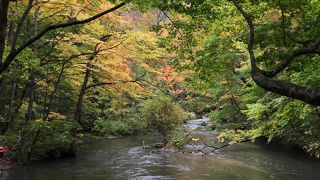 マイナスイオンを感じます