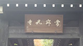 意外に高いところにありました