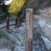 車で近いです。