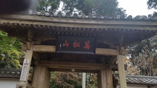 庭園が美しい井伊家菩提寺。