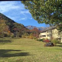 ロビーから庭園を眺める