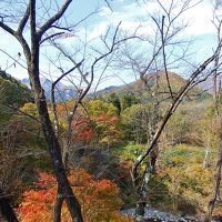 客室バルコニーからの眺望