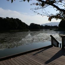 南神門前に広がる深田池です。