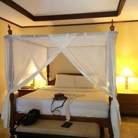 蚊除けの天蓋。あまり蚊は気にならない。