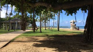 ビーチ側は綺麗な公園です