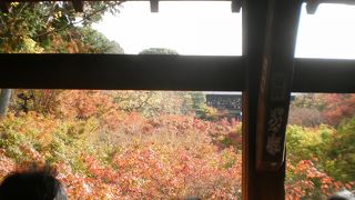紅葉を眺めに行きました