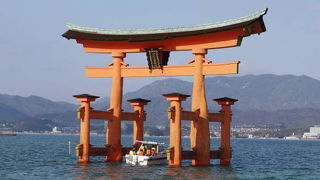 きれいに海に浮かぶ大鳥居が見られました