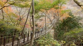 ルートと駐車場選びが重要