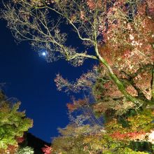 ここも紅葉終盤でした