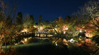 すごい人だったけど行って良かった！