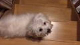 Ｂ＆Ｂ　ゲストハウス　Ｍｕｕ