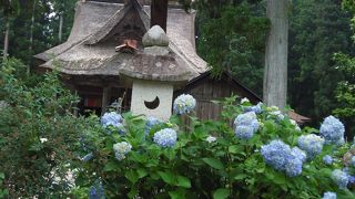 紫陽花に包まれて