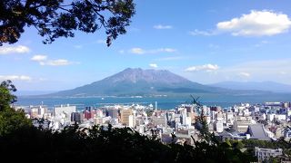 昼間より夜景が良さそう
