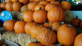 ハロウィン仕様のホールフーズ