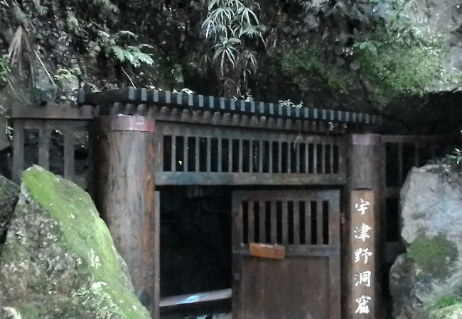 宇津野洞窟 クチコミ アクセス 営業時間 佐野 フォートラベル