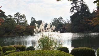 風情があるお池