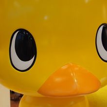 地下１階にいたひよこちゃん