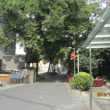 中には入れません。