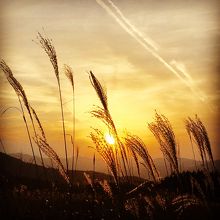 なんとも言えない素敵さ！