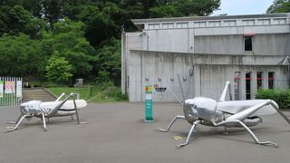 東京都多摩動物公園 