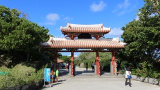 午前中は逆光になります。