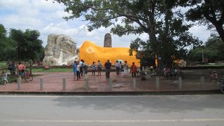 ワット ローカヤースッター