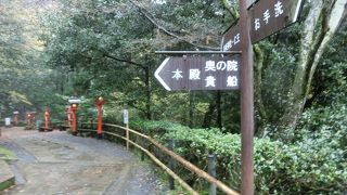 鞍馬山のパワーを受けて参道を登る、また楽しからずや